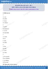 Đề thi giữa kì 2 Tiếng Anh 4 Explore Our World - Đề số 1